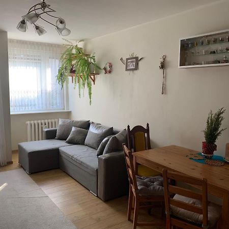 Przytulny Apartament 3City W Centrum Sopotu Z Balkonem By Noclegi Renters エクステリア 写真